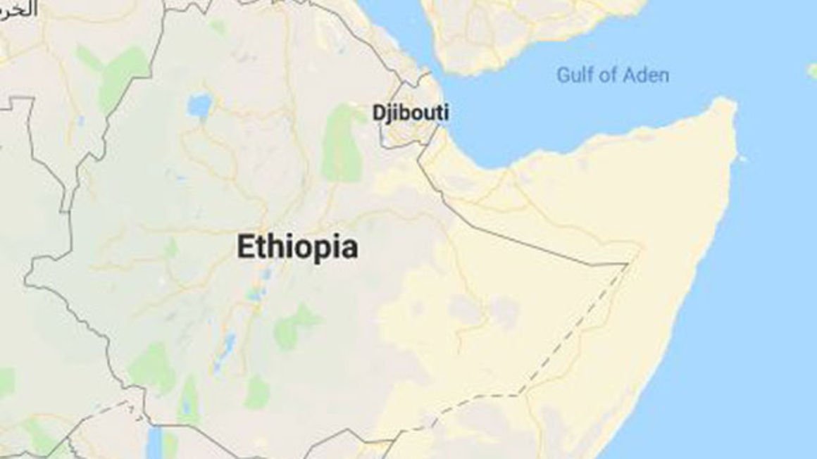 Armed attackers kill seven Djibouti soldiers, presidential adviser says ...