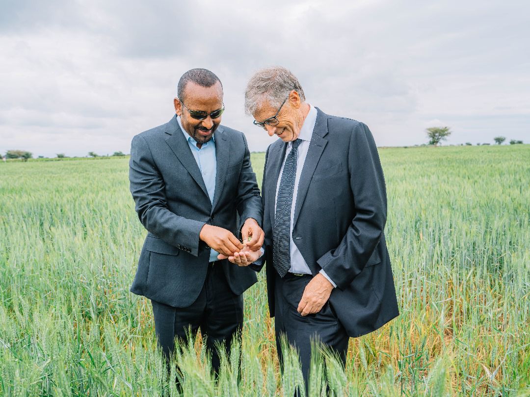 Bill Gates's praise of Ethiopia's wheat farming progress, his renewed ...